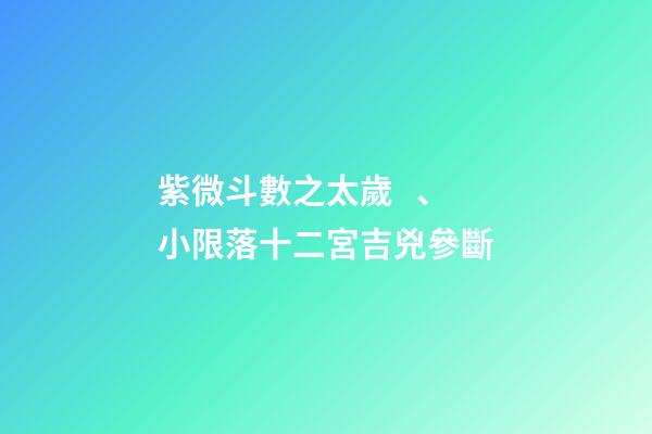 紫微斗數之太歲、小限落十二宮吉兇參斷